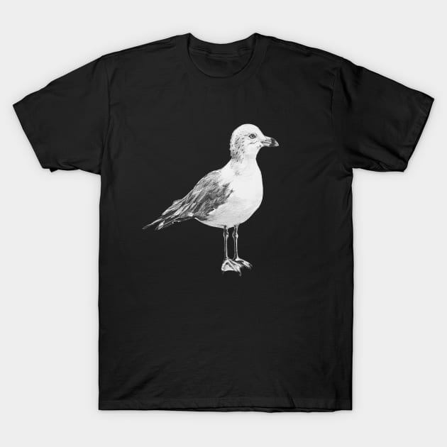 Ring-billed gull drawing T-Shirt by EmilyBickell